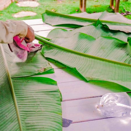 Homestay Vuon Trai Cay Nhiet Doi Vo Uu Garden Bảo Lộc Kültér fotó