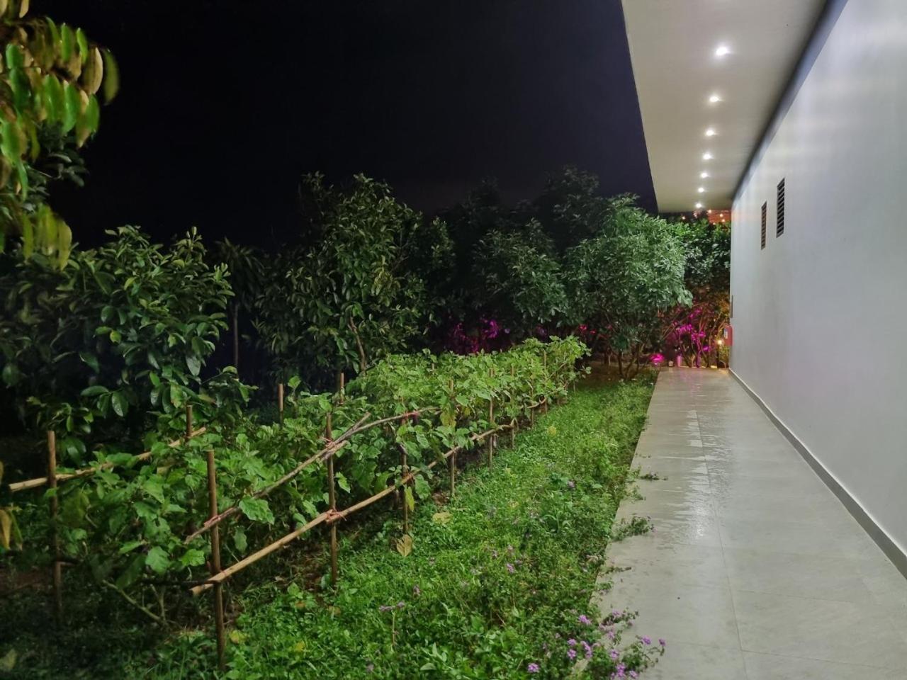 Homestay Vuon Trai Cay Nhiet Doi Vo Uu Garden Bảo Lộc Kültér fotó