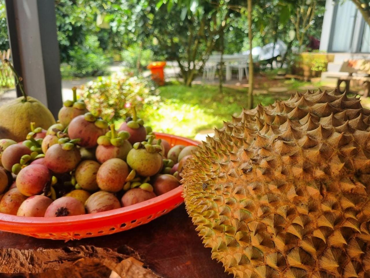 Homestay Vuon Trai Cay Nhiet Doi Vo Uu Garden Bảo Lộc Kültér fotó
