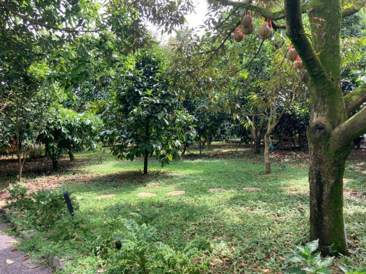 Homestay Vuon Trai Cay Nhiet Doi Vo Uu Garden Bảo Lộc Kültér fotó