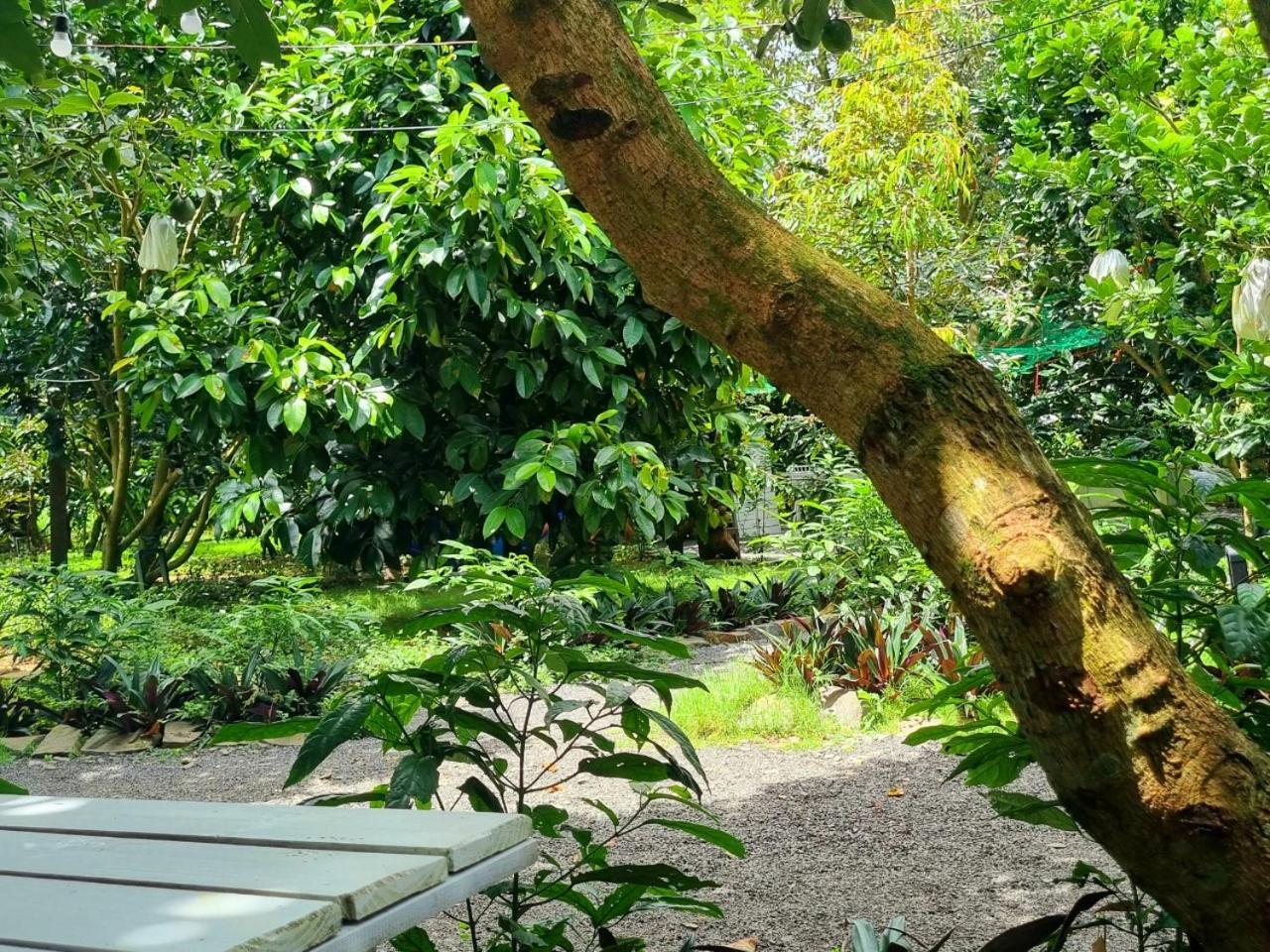 Homestay Vuon Trai Cay Nhiet Doi Vo Uu Garden Bảo Lộc Kültér fotó