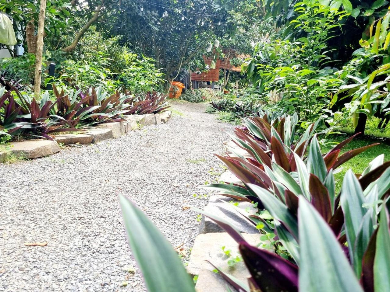 Homestay Vuon Trai Cay Nhiet Doi Vo Uu Garden Bảo Lộc Kültér fotó