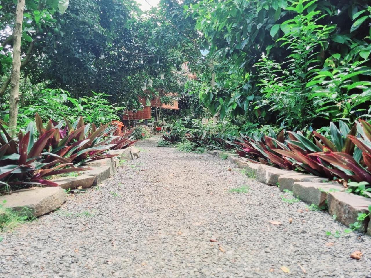 Homestay Vuon Trai Cay Nhiet Doi Vo Uu Garden Bảo Lộc Kültér fotó